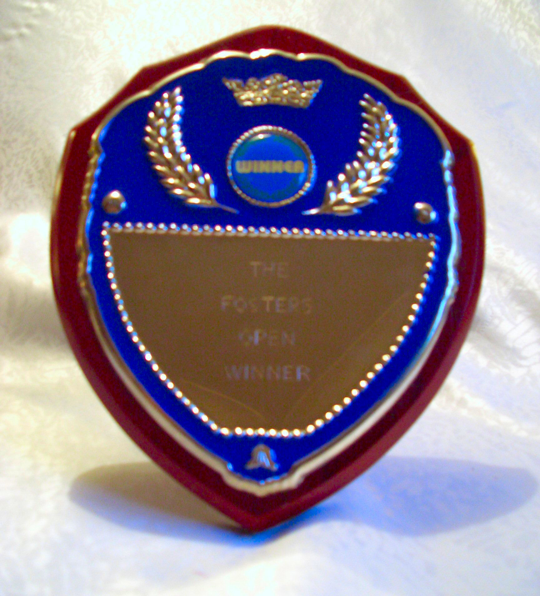 The Fosters Open Shield